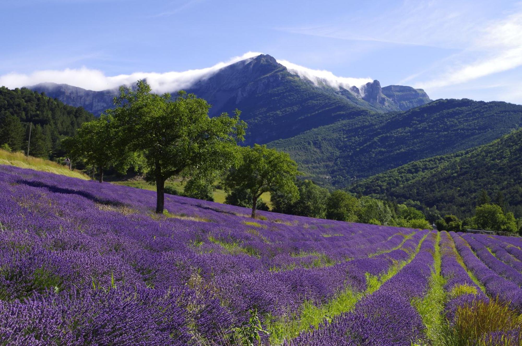 Maison De Village Aux Portes Du Vercors Chamaloc Εξωτερικό φωτογραφία
